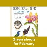 Green shoots for February