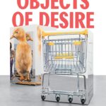 Cover of book called Objects of desire : photography and the language of advertising.